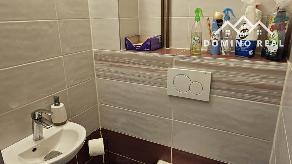 Veľký 6-izbový rodinný dom pri hrádzi v Dunajskej Lužnej