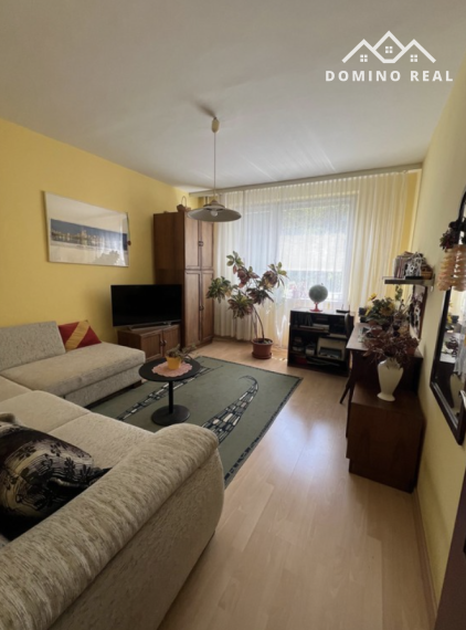 prenájom 4 izbového priestraného bytu