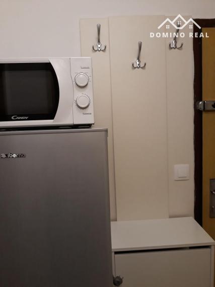 veľká a slnečná garzónka na prenájom s loggiou