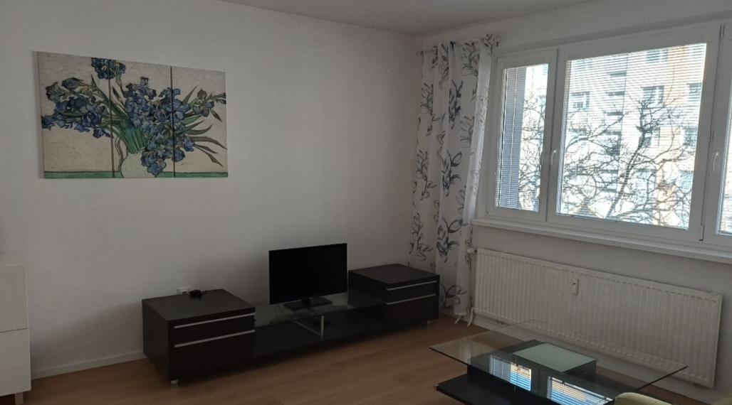 3-izbový byt na Dlhých Dieloch na prenájom