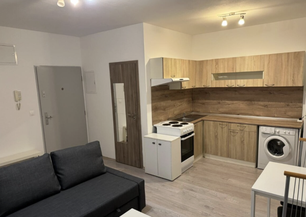 prenájom 1-izbového bytu s parkovacím státím