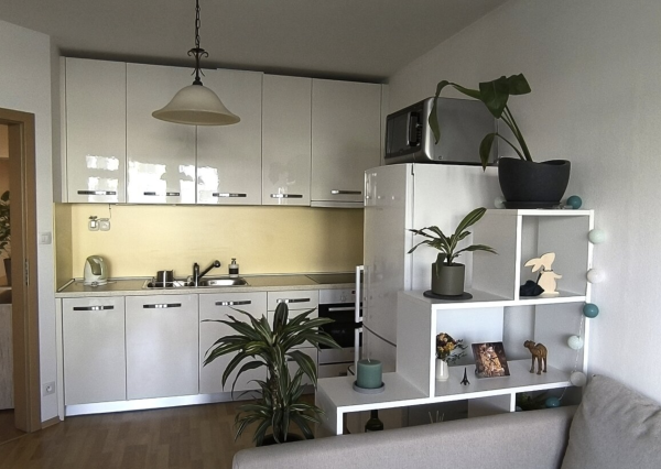 priestranný zariadený 2-izbový byt Jegeho Alej