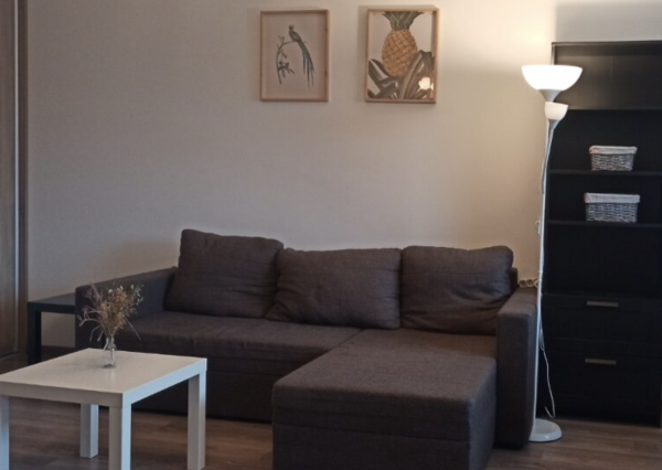 klimatizovaný 2-izbový byt s loggiou na prenájom