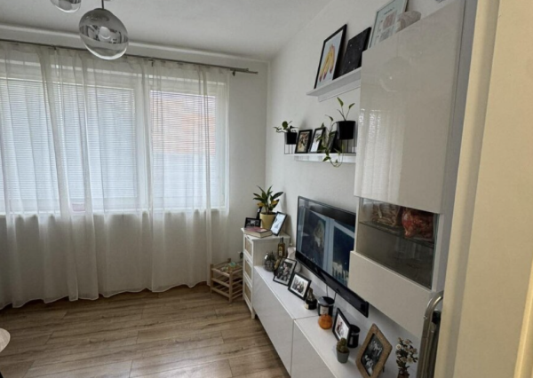 prenájom 1-izbového bytu s parkovacím miestom a pivnicou